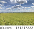 A rural landscape of bountiful autumn harvest 131217222