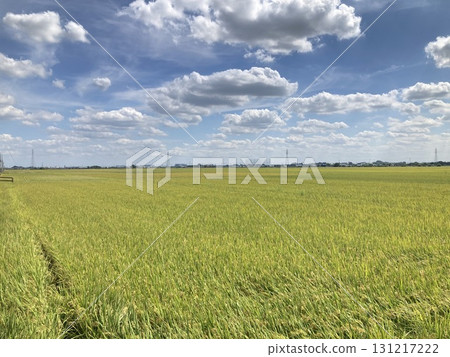 秋收豐收的鄉村景象 131217222