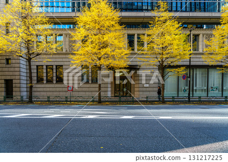 [Tokyo] Ginkgo trees coloring the buildings of Marunouchi 131217225