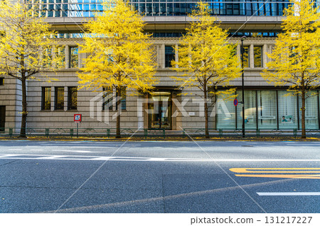 [Tokyo] Ginkgo trees coloring the buildings of Marunouchi 131217227