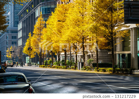 [Tokyo] Ginkgo trees coloring the buildings of Marunouchi 131217229