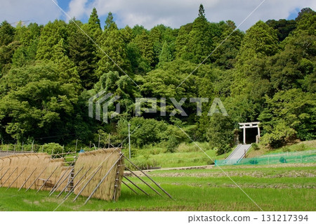 初秋的鄉村風景(無人區、邊緣村落) 初秋的鄉村風景(無人區、邊緣村落) 131217394