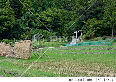 初秋的鄉村風景(無人區、邊緣村落) 初秋的鄉村風景(無人區、邊緣村落) 131217395