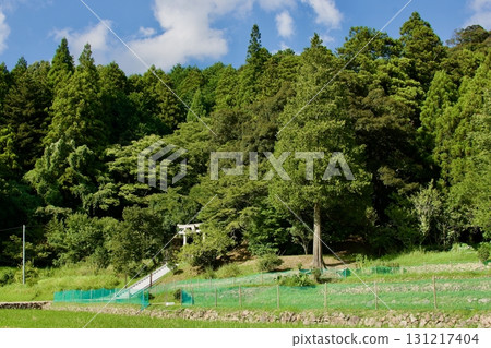 初秋的鄉村風景(無人區、邊緣村落) 初秋的鄉村風景(無人區、邊緣村落) 131217404