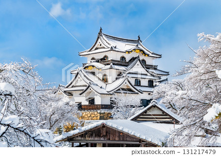 Shiga Hikone Castle: Snow-covered castle tower 131217479