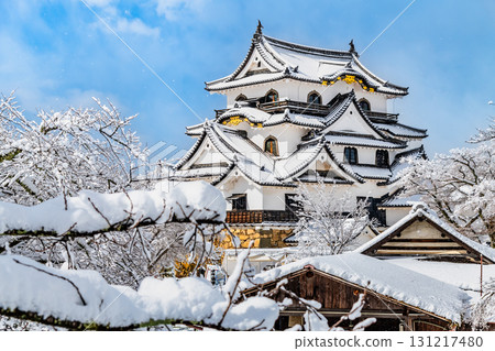 Shiga Hikone Castle: Snow-covered castle tower Shiga Hikone Castle: Snow-covered castle tower 131217480