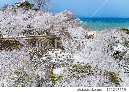 滋賀彥根城：白雪覆蓋的西之丸 131217559