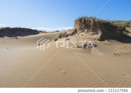 Scenery of Tottori Sand Dunes in summer Tottori Prefecture Tottori Sand Dunes 131217566