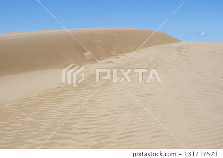 鳥取沙丘的夏日風景 鳥取縣 鳥取沙丘 131217571