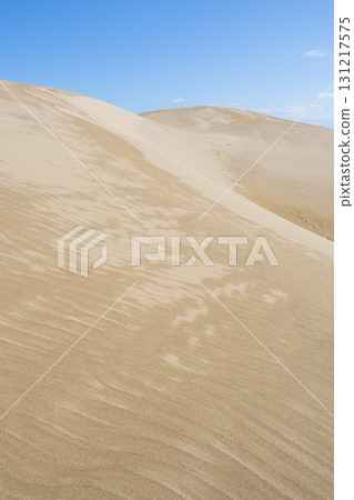 Scenery of Tottori Sand Dunes in summer Tottori Prefecture Tottori Sand Dunes 131217575