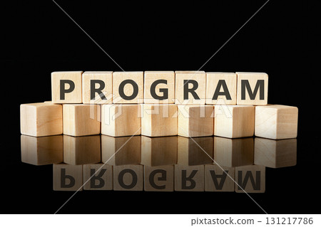 The concept word PROGRAM is collected of wooden cubes on a glossy black background. Loyalty Program Shopping concept 131217786