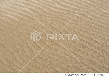 Summer Tottori Sand Dunes and their patterns Tottori Prefecture Tottori Sand Dunes 131217800
