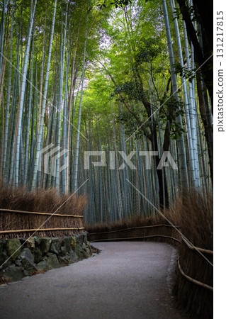 嵐山竹林小徑 131217815