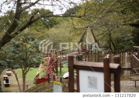 Playground equipment in a forest park 131217820