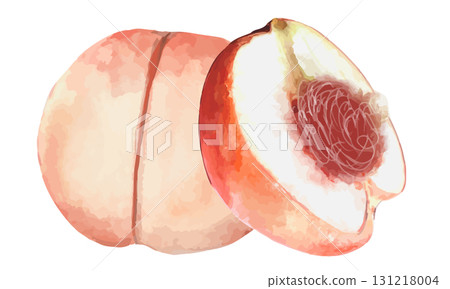 水彩畫桃子（整個和半個） 131218004