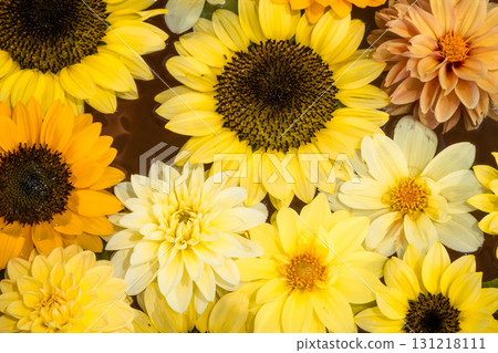 Yellow sunflower and dahlia flower water basin Yellow sunflower and dahlia flower water basin 131218111