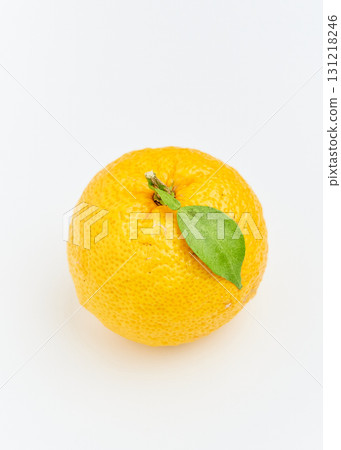 Yuzu on white background - One yuzu fruit Yuzu on white background - One yuzu fruit 131218246