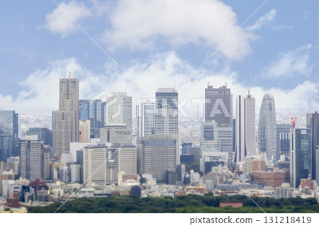 Tokyo bird's-eye view miniature chia style 131218419