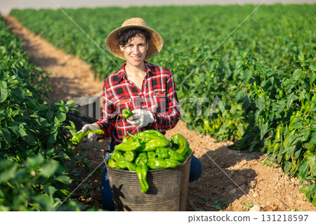 Positive woman harvesting green pepper 131218597