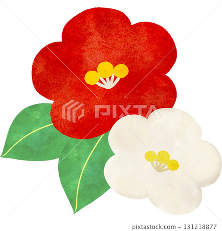 Watercolor illustration of camellia flowers Watercolor illustration of camellia flowers 131218877