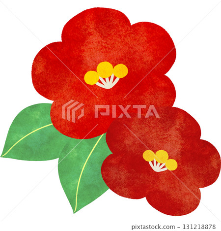 Watercolor illustration of camellia flowers Watercolor illustration of camellia flowers 131218878