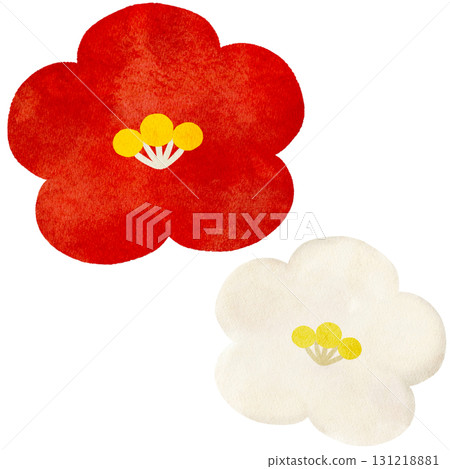 山茶花的水彩插圖 131218881