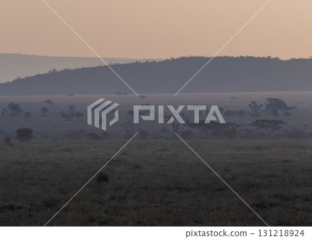 Early evening in the serengeti 131218924