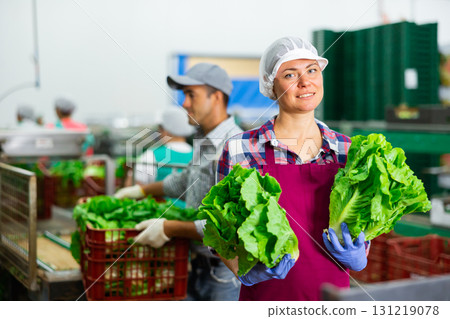 Portrait of positive woman vegetable factory worker with lettuce Portrait of positive woman vegetable factory worker with lettuce 131219078