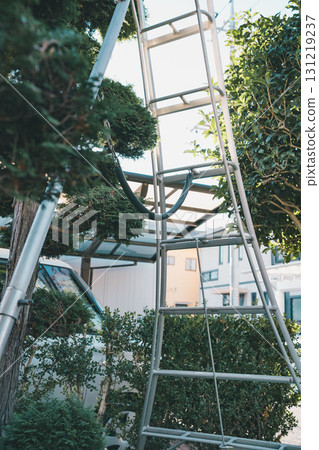 pruning, garden, master gardener 131219237