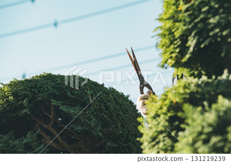 男人 男 男性 131219239