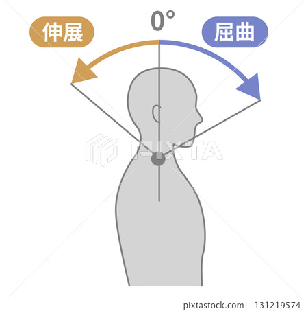Neck and neck range of motion ROM illustration 131219574