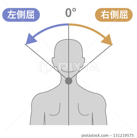 Neck and neck range of motion ROM illustration Neck and neck range of motion ROM illustration 131219575