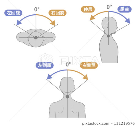 頸部和頸部活動性 ROM 插圖集 頸部和頸部活動性 ROM 插圖集 131219576