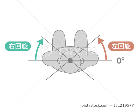Thoracic and lumbar region, trunk range of motion ROM illustration Thoracic and lumbar region, trunk range of motion ROM illustration 131219577
