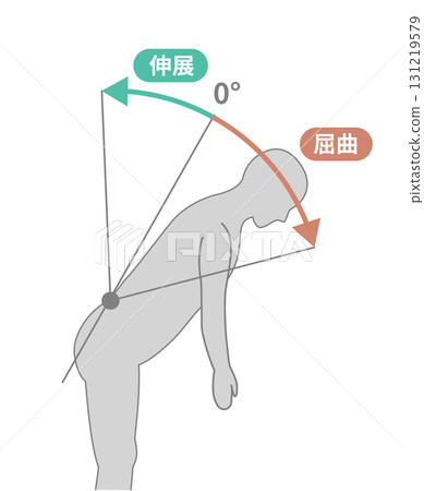 胸部腰部、軀幹活動範圍 ROM 圖示 131219579