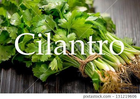Pakchi and English spelling (Cilantro) 131219606