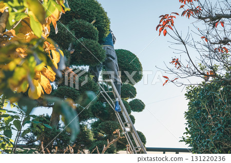 gardener, landscaper, gents 131220236