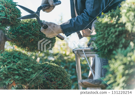 園丁 男人 男 131220254