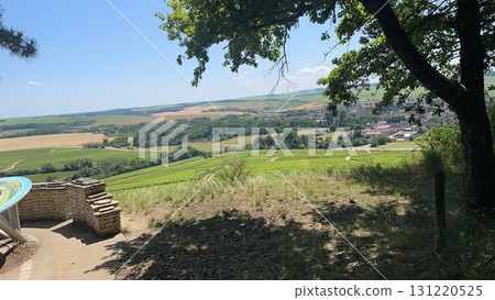 Chablis Chablis 131220525