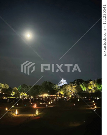 日本花園點亮 131220541