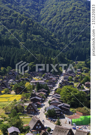 Shirakawa-go Gassho-style village and golden rice ears: Autumn rural scenery Shirakawa-go Gassho-style village and golden rice ears: Autumn rural scenery 131220833