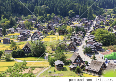 白川鄉合掌村與金黃稻穗:秋季田園風光 白川鄉合掌村與金黃稻穗:秋季田園風光 131220839