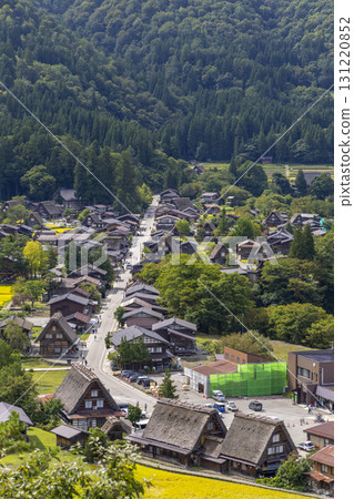 Shirakawa-go Gassho-style village and golden rice ears: Autumn rural scenery 131220852