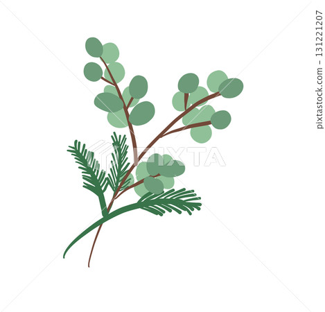 Dried Eucalyptus Botanical 131221207