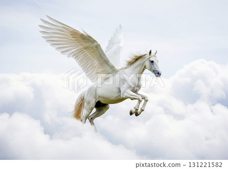 Pegasus ☆ Pegasus ☆ Tenshin 131221582