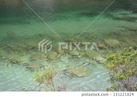 Yakushima trekking scenery Yakushima trekking scenery 131221824