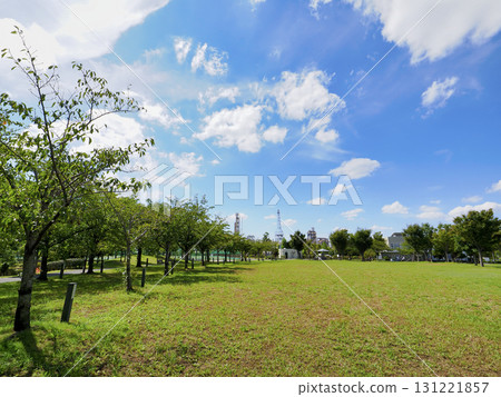 千葉縣市川市廣尾防災公園 131221857