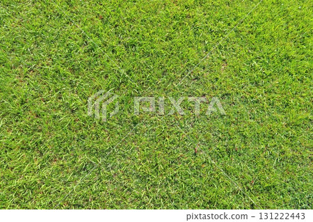 Lawn aerial view Lawn aerial view 131222443