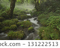 Beech forest, Oku-Daisen, Kitanizawa Stream, natural water filming location. 131222513