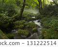 Beech forest, Oku-Daisen, Kitanizawa Stream, natural water filming location. 131222514